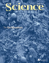 Cover of the June 8, 2012 issue of the journal Science.
