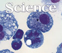 Cover of the June 10, 2011 issue of the journal Science.