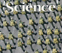 Cover of the June 11, 2010, issue of the journal Science.