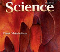 Cover of the June 29, 2012 issue of the journal Science.