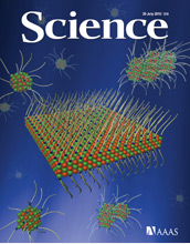 Cover of the July 30, 2010, issue of Science magazine.