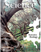 Cover of the July 31, 2009, issue of the journal Science.