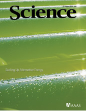 Cover of the August 13, 2010 issue of the journal Science.