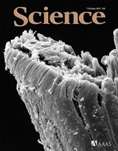 Cover of the October 7, 2011 issue of the journal Science.