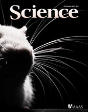 Cover of the October 14, 2011 issue of the journal Science.