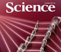 Cover of the October 21, 2011 issue of the journal Science.