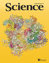Cover of the December 16, 2011 issue of the journal Science.