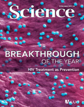 Cover of the December 23, 2011 issue of the journal Science.