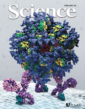The researchers' results are described in the May 10th issue of the journal Science.