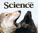 Cover of March 6, 2009 issue of Science magazine