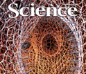Cover of the Feb. 19 issue of the journal Science featuring Visualization Challenge winners.