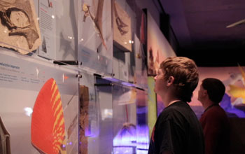 two people looking at a museum exhibit