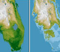 Images of present day Florida on left and what Florida will look like in future with sea level rise.