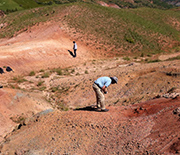 Scientists searching for fossil specimens in Eocene outcrops of northern Turkey.
