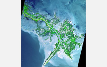 Photo of the Mississippi River delta.