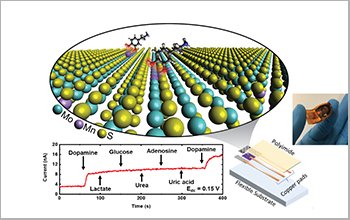 Highly sensitive dopamine detector uses 2D materials