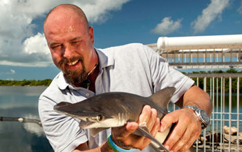 Photo of Shark Defense researcher Patrick Rice with a bonnethead shark.