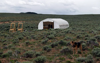 Barger Gulch Locality B, a 10,500-year-old Folsom campsite in Middle Park, Colo.