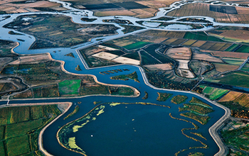 aerial image showing a network of levees and wetlands protect the low-lying agricultural communities
