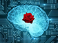 a brain with a rose