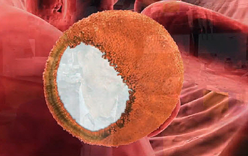 Illustration of nanosponge and red blood cells