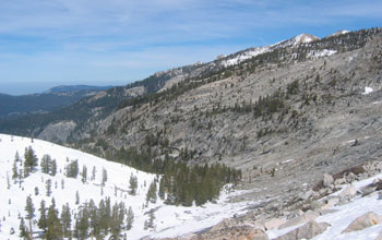 Photo of a Sierra Nevada forest in Sequoia National Park.