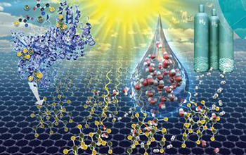 Enzymatic synthesis of supported CdS quantum dot/reduced graphene oxide photocatalysts