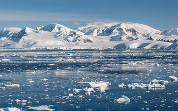 Researchers are studying the effects of ocean acidification on species in the Southern Ocean.