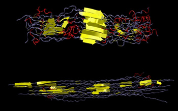 Illustrations of spider silk with and without stress.