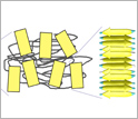 structure of silk.