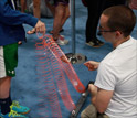 Children interacting with a device at a USA Science and Engineering Festival