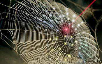 a spiderweb-inspired fractal design