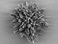 spiky nanoparticle