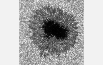 A high-resolution sunspot image.