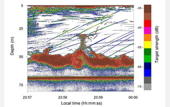 Echogram showing a large school of squid as an intense red mass.