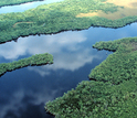 View of the Florida Coastal Everglades LTER site