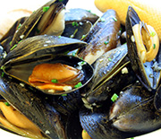 Blue mussels are off the menu when Pseudo-nitzschia blooms produce domoic acid.