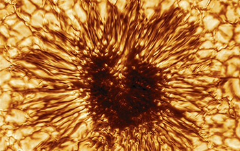 the first sunspot image taken on January 28, 2020 by the NSF's Inouye Solar Telescope's Wave Front Correction context viewer