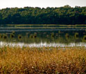 Photo of the Cherokee Marsh in Wisconsin.