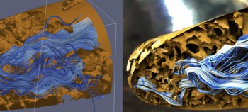 2 visualizations of water dlowing through limestone, produced with different techniques