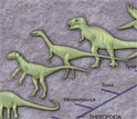 Illustration showing how Tawa relates to other early dinosaurs.