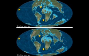 World Map 50 Million Years Ago Tectonic Collision 50 Million Years Ago Led To Widespread Ocean Changes |  Nsf - National Science Foundation