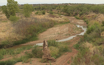 dried up land