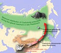 Map of Eurasia showing descent of woolly rhinos in latitude with expansion of cold habitats.