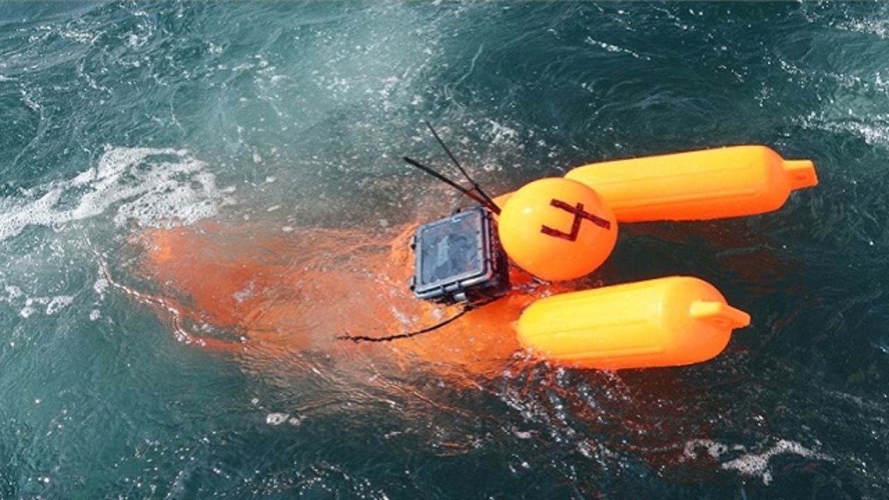 ocean trap being pulled out of ocean