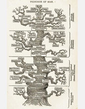 Illustration of the tree of life from the 1879 work The Evolution of Man.