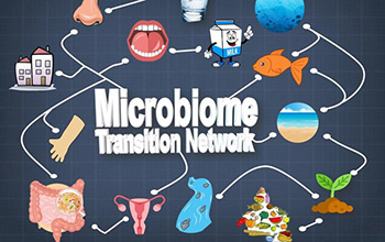 Graphic showing a global microbiome transition network.