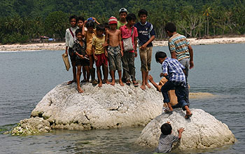 Tsunami survivors stand atop a coral formation lifted above ocean's surface by the earthquake.