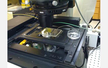 Photo of microfluidic research set-up used to conduct experiments on marine bacteria.