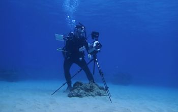 diver underwater with camera tripod